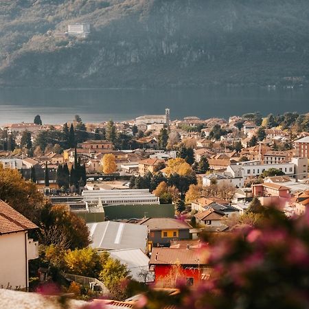 Larius Apartment - Como Lake View 曼代洛-德尔拉里奥 外观 照片